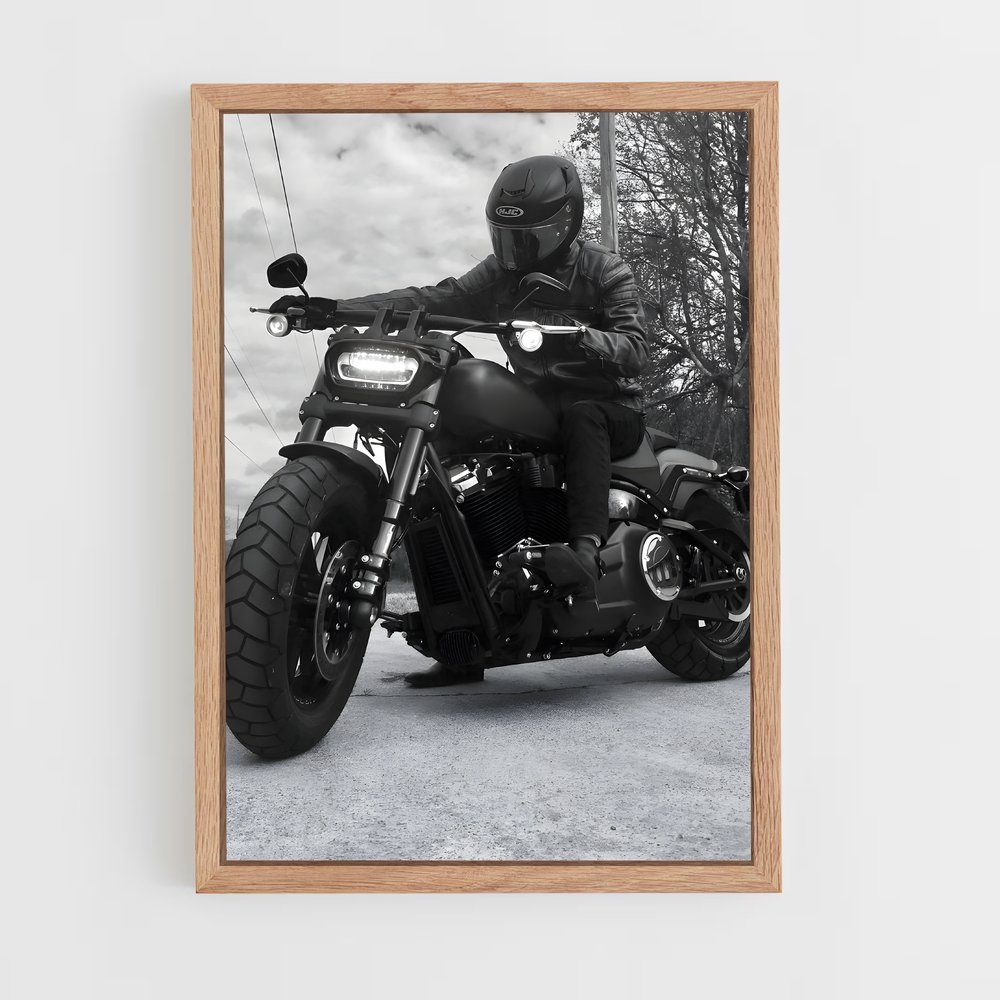 Poster splendide Low rider s – affiche Harley-Davidson (vue 4)